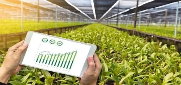 Agriculture-Based Business