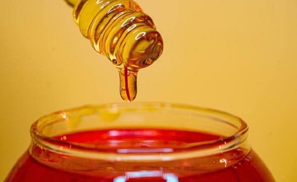 Is Honey Business Profitable in India